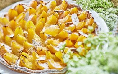 Recette : la tarte aux abricots